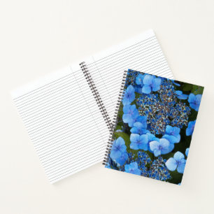Blaue Lacecap-Hortensien-Blumen-Notizbuch Notizbuch