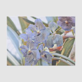 Blaue Lavander-Blume Seidenpapier