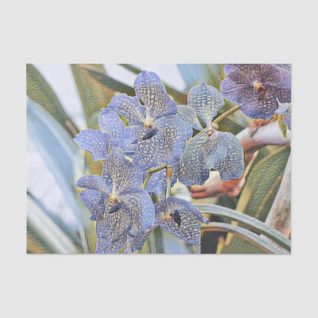 Blaue Lavander-Blume Seidenpapier (Vorderseite)
