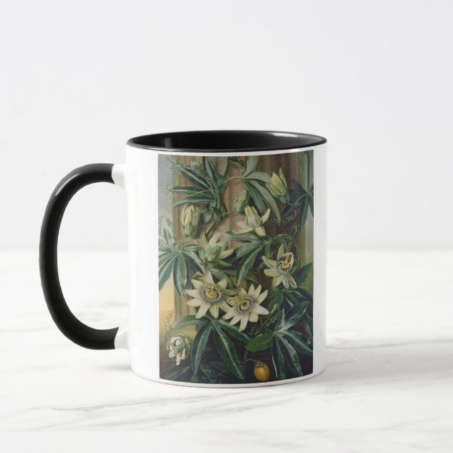 Blaue Leidenschafts-Blume für den "Tempel der Tasse (Links)