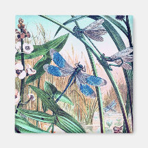 Blaue Libelle an der Vintagen Abbildung des Sees