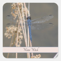 Blaue Libelle, anpassbar