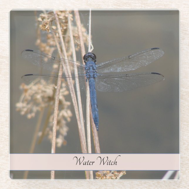 Blaue Libelle Glasuntersetzer (Vorderseite)