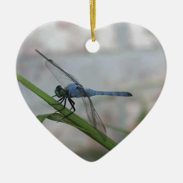 Blaue Libelle Keramikornament (Vorne)