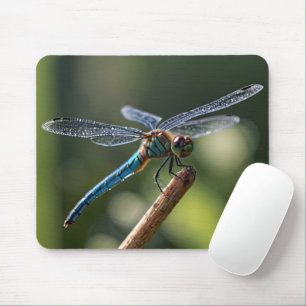 Blaue Libelle Mousepad