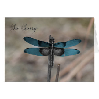 Blaue Libelle-Natur-Sympathiekarte