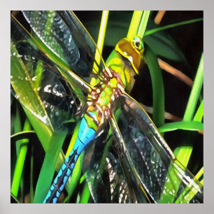 Blaue Libelle schimmernde Wings Painting Poster
