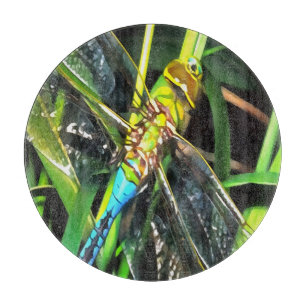 Blaue Libelle schimmernde Wings Painting Schneidebrett
