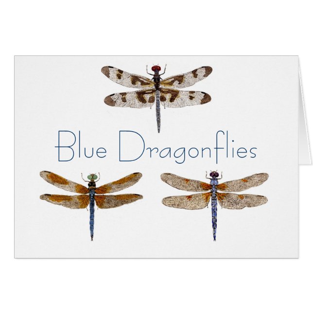 Blaue Libellen (Vorderseite (Horizontal))