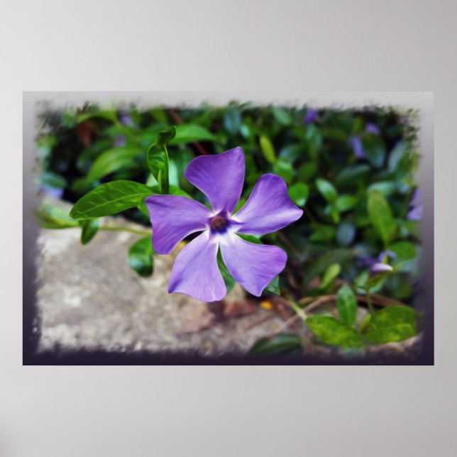 Blaue lila Blätter Poster (Vorne)