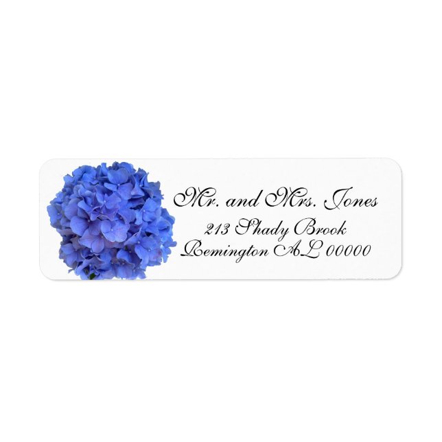 Blaue lila Hydrangeas-Blüten (Vorne)