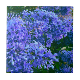 Blaue lila Lila romantisches blaues Foto mit Blume Fliese