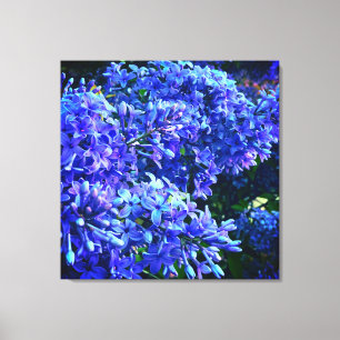 Blaue lila Lila romantisches blaues Foto mit Blume Leinwanddruck