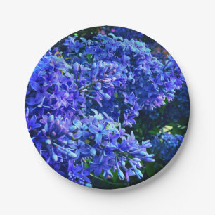 Blaue lila Lila romantisches blaues Foto mit Blume Pappteller