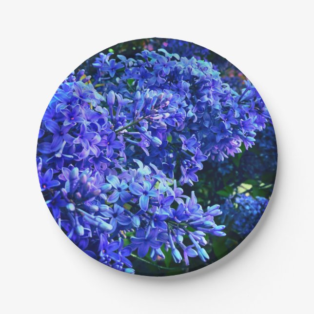 Blaue lila Lila romantisches blaues Foto mit Blume Pappteller (Vorderseite)