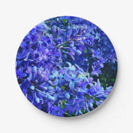 Blaue lila Lila romantisches blaues Foto mit Blume Pappteller