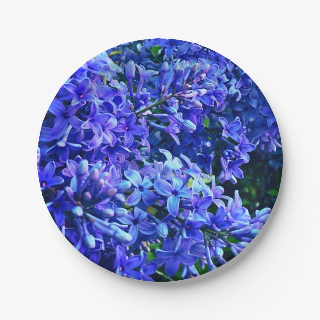 Blaue lila Lila romantisches blaues Foto mit Blume Pappteller (Vorderseite)