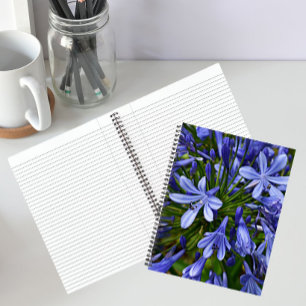 Blaue Lilie des Nils Agapanthus Floral Notizbuch