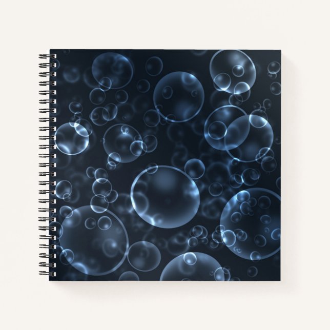 Blaue Linsen, Buch (Vorderseite)