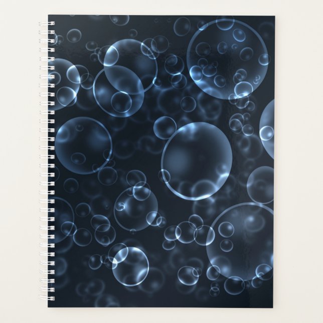 Blaue Linsen, Buch Planer (Vorderseite)