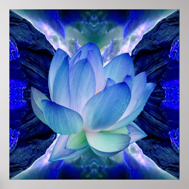 Blaue Lotus-Blume Poster (Vorne)