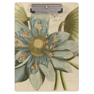 Blaue Lotusblume auf braunem Hintergrund mit Schri Klemmbrett