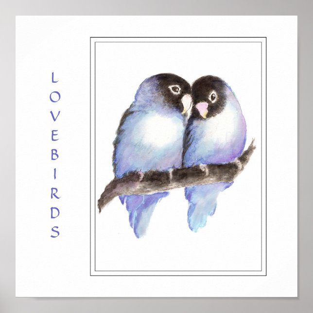 Blaue Lovebirds - Vogel Print Poster (Vorne)