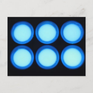 Blaue Lumineszenz Postkarte