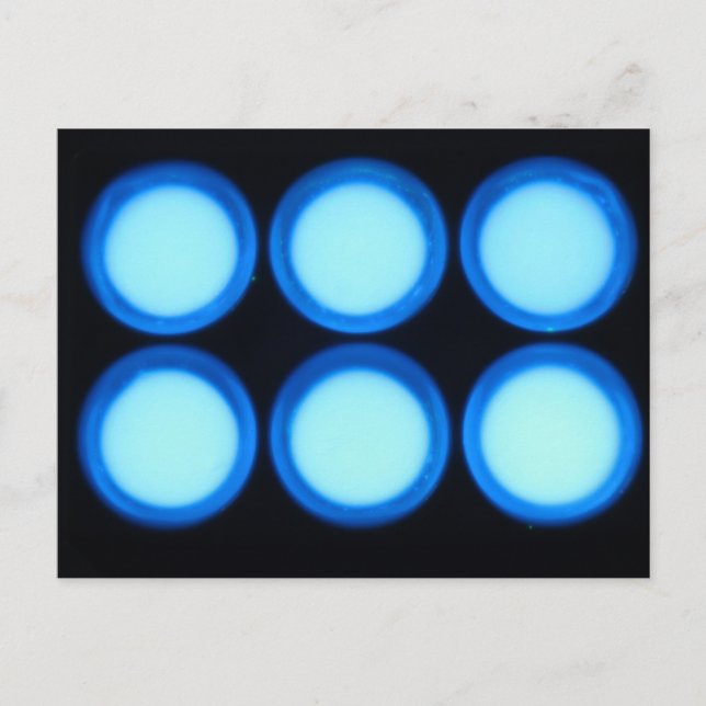 Blaue Lumineszenz Postkarte (Vorderseite)