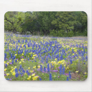 Blaue Lupinen, Primel und Phlox Mousepad
