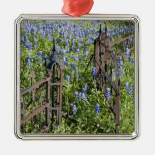 Blaue Lupinen und Phlox umgeben das Friedhofstor Silbernes Ornament
