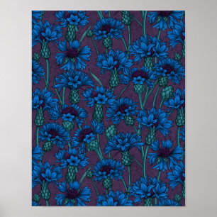 Blaue Maisblumen, wilde Blume Poster