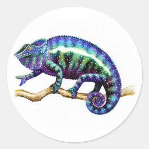 Blaue männliche Panther-Chamäleon-Aufkleber Runder Aufkleber