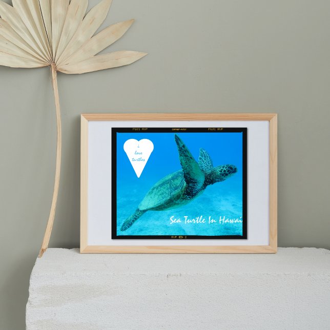 Blaue Meeresschildkröte in Herzschildkröten Hawaii Poster (Von Creator hochgeladen)