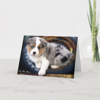 Blaue Merle 4 Australier-Schäfer-Gruß-Karte
