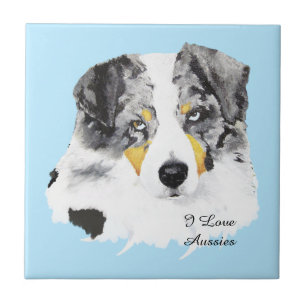 Blaue Merle australische Fliese