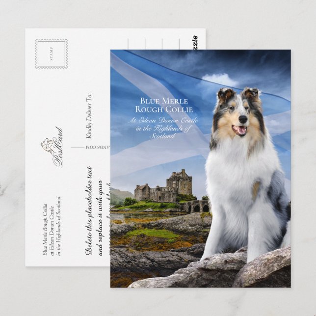 Blaue Merle Collie, Eilean Donan und Schottische F Postkarte (Vorne/Hinten)