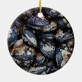 Blaue Miesmuscheln Kaliforniens, die auf Felsen in Keramik Ornament