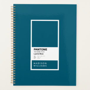 Blaue Minimalistische Farbpalette Swatch Custom Planer
