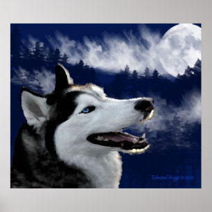Blaue mit Augen alaskische Schlittenhund-Drucke Poster