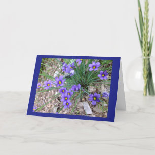 Blaue mit Augen Gras-Raum-Anmerkungs-Karte Karte
