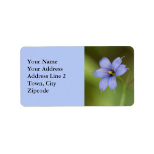 Blaue mit Augen Gras-Wildblume-Blumenaufkleber Adressaufkleber