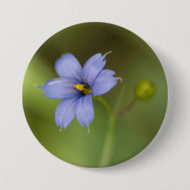 Blaue mit Augen Gras-Wildblume-Blumenknopf Button