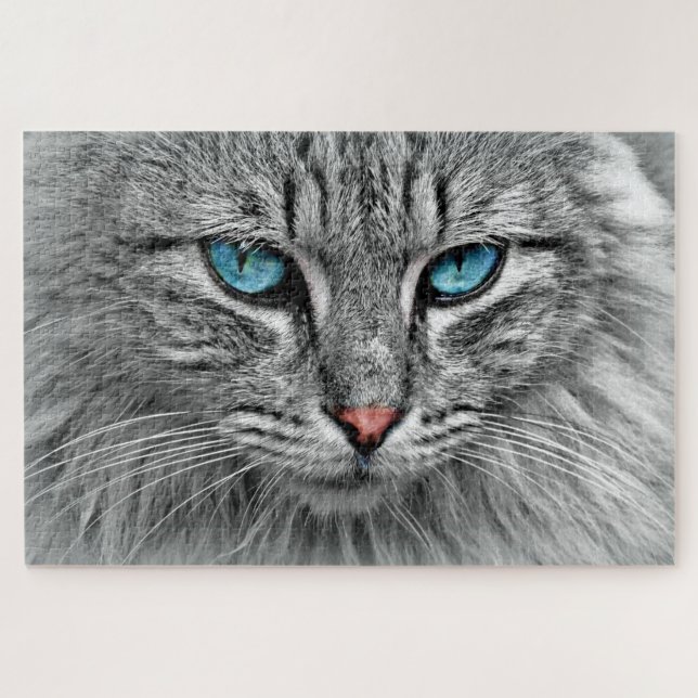 Blaue Mit Augen Katze (Horizontal)