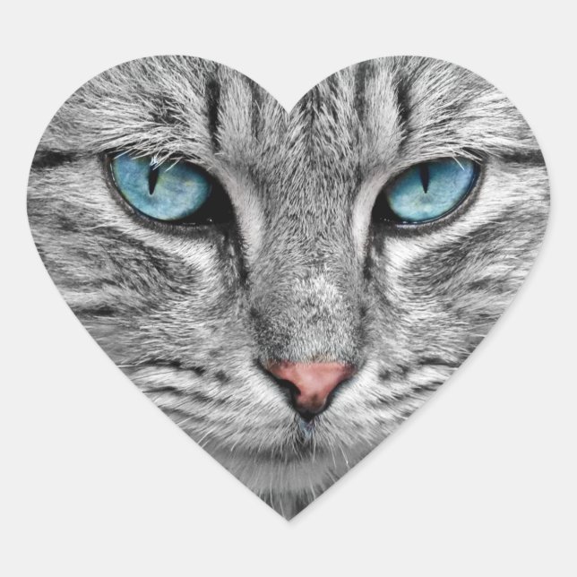 Blaue Mit Augen Katzenaufkleber Herz-Aufkleber (Vorderseite)