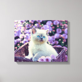 Blaue Mit Augen Katzenkatze im Korb mit violetten Leinwanddruck