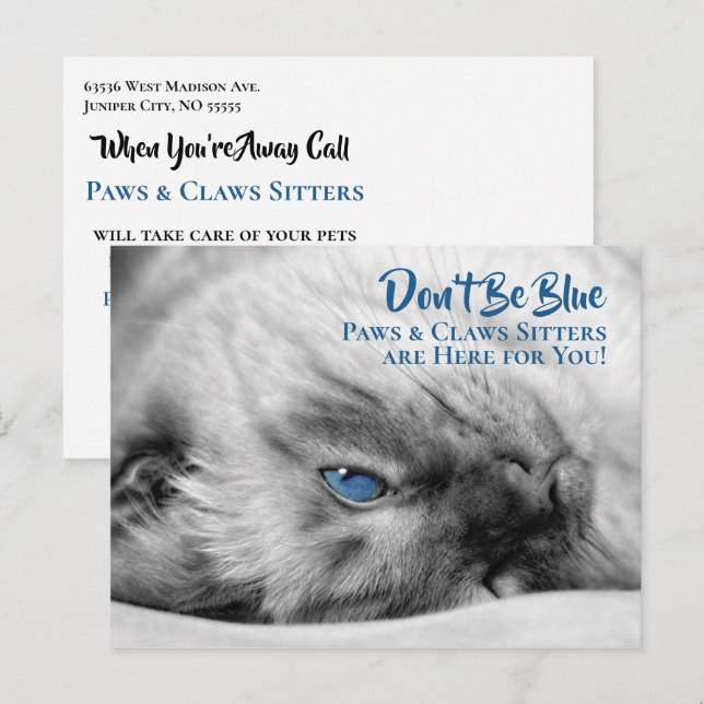 Blaue Mit Augen Siameskatze Sitter nach Kundenwuns Postkarte (Vorne/Hinten)