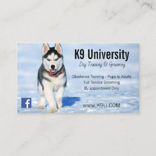 Blaue Mit Augen sibirische Husky-Hundeschulung/Bod Visitenkarte