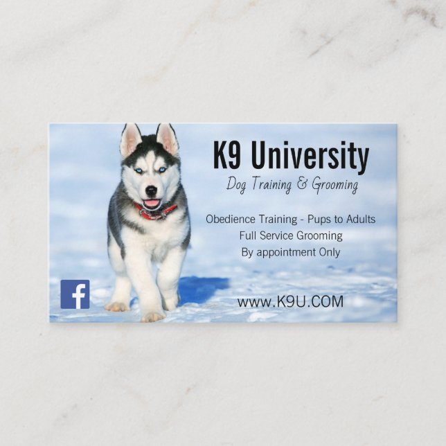 Blaue Mit Augen sibirische Husky-Hundeschulung/Bod Visitenkarte (Vorderseite)