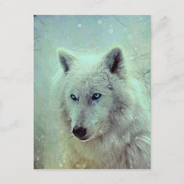 Blaue Mit Augen Wolf-Malerei Postkarte (Vorderseite)